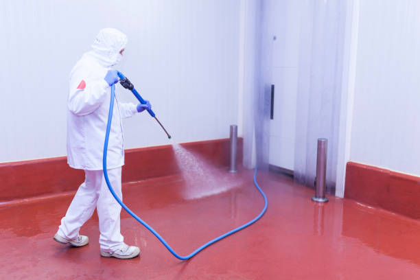 Best House Exterior Washing  in Nokomis, FL