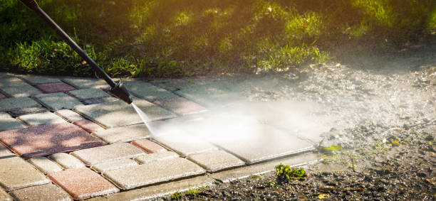 Best Dumpster Area Cleaning  in Nokomis, FL